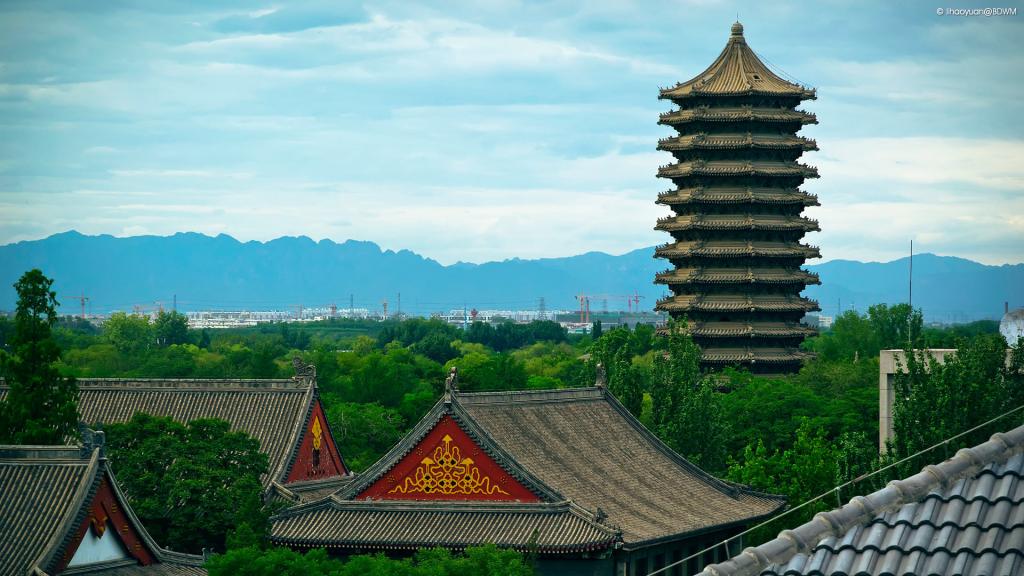 精彩回顾 | 【思想汇·行动派】职业分享会